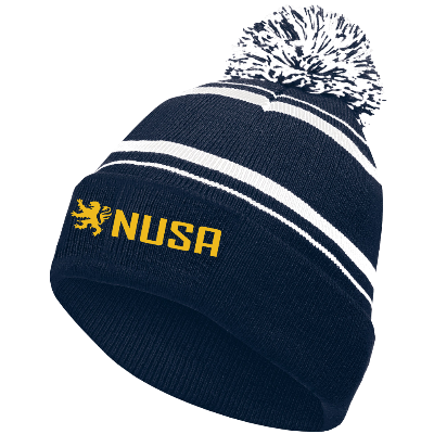 Homecoming Beanie - Navy/white Image