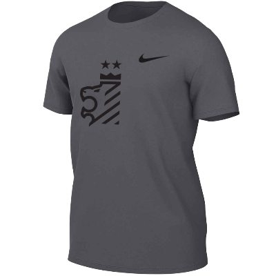 TM R Legend SS Tee - Anthracite Image