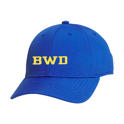 Fundamental Alliance Hat - Team Royal/Black Image