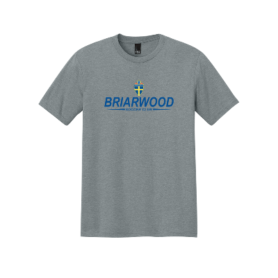 Perfect Tri Tee - Heather Grey Image
