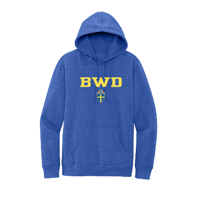 V.I.T. Fleece Hoodie - Royal Frost Image