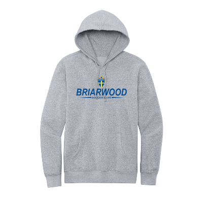 V.I.T. Fleece Hoodie - Light Heather Grey Image