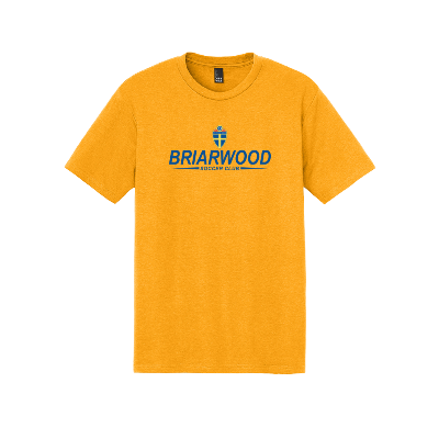 Perfect Tri Tee - Gold Image